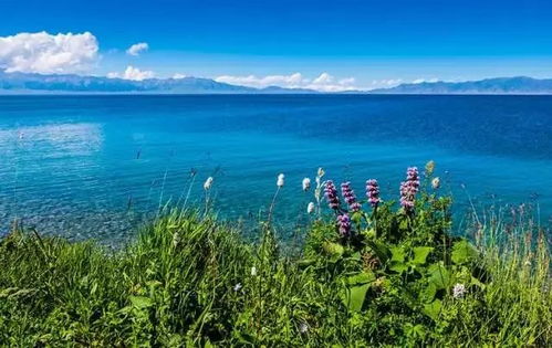 新疆赛里木湖，一湖之变，生态复苏
